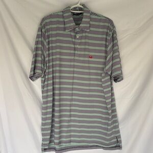 Southern Marsh Polo with Green and Purple Stripes